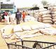 Naira Redesign: Grains Prices Crash Days After Record Surge