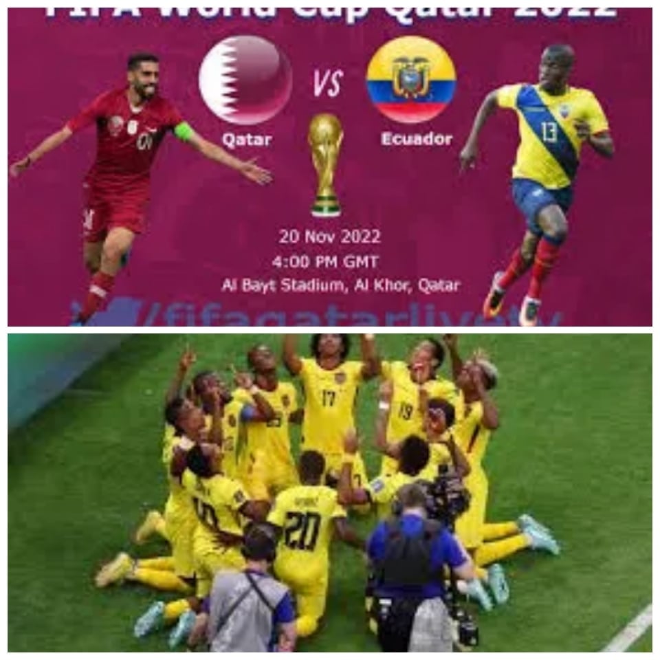 FIFA World Cup: Poor Outing For Host Country Qatar, Loses 2-0 To Ecuador