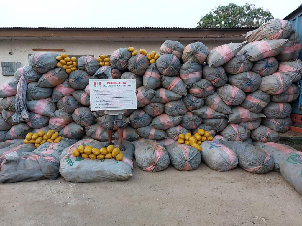 NDLEA Uncovers Underground Bunk Stored With Banned Hard Drugs In Delta