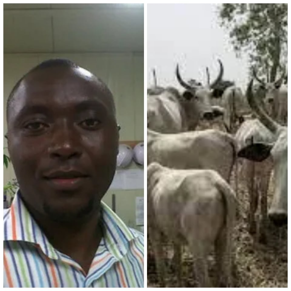Irate Christmas Cow Kills Former Youth President In Bayelsa