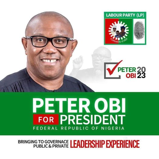 PDP Uche Ekwunife Canvasses Vote For Peter Obi As President, Her Party For Senate In Agulu Anambra State