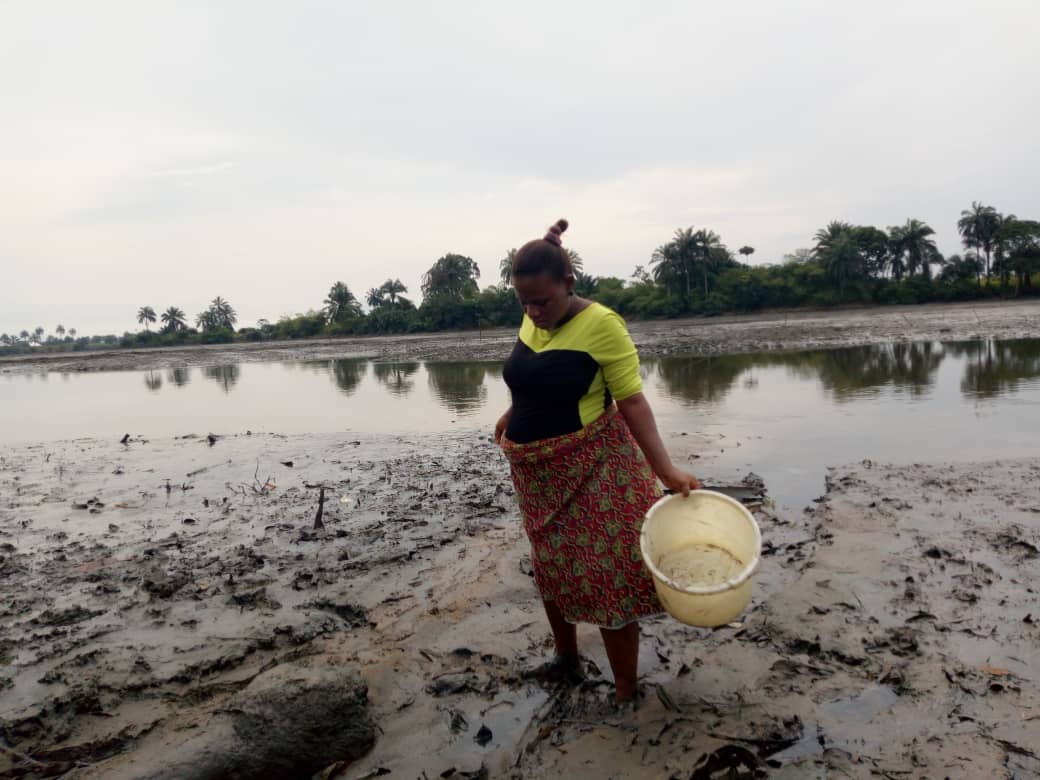 Unbated Oil Spills In Ogoniland: 3 Out Of Every 10 Women Loose Pregnancies To Miscarriages In Bori,-Special Reports