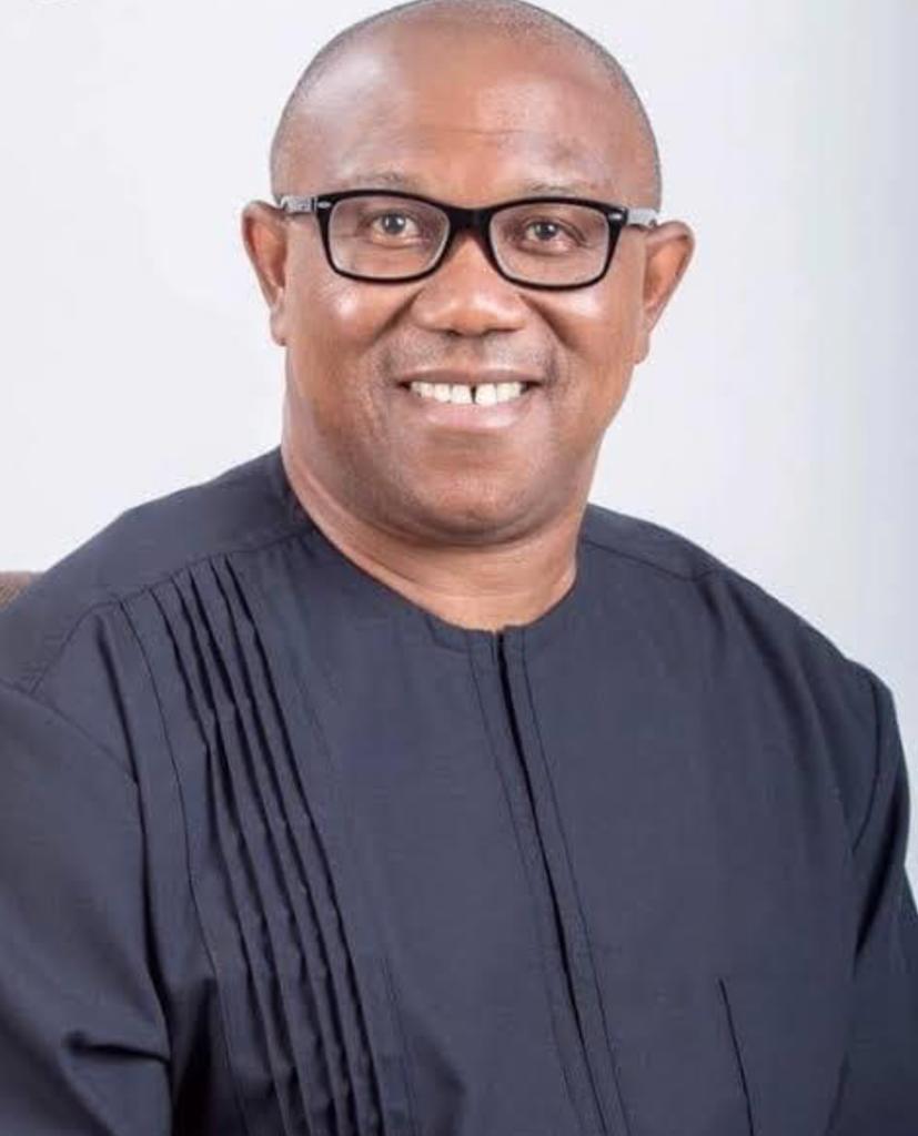 Appeal Court Dismisses Suit Seeking Peter Obi’s Disqualification Over Non-Membership Of LP.