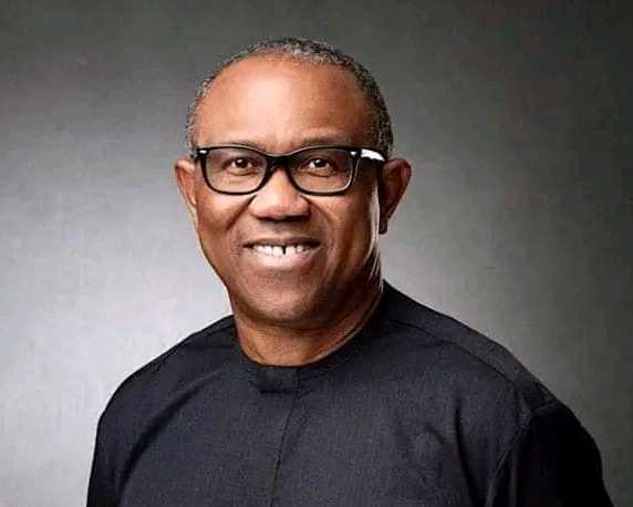 How UK Govt Responded To Premium Times Request On Peter Obi Detention At Airport Details