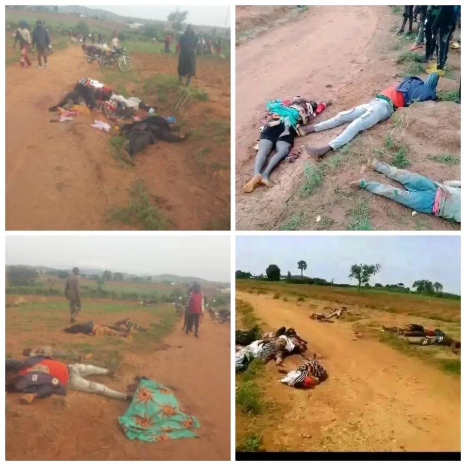 Plateau Lawmaker Raise Alarm Over Renewed Attacks In Mangu LGA , As Over 100 Corpses Of Men, Women, Children Killed Litters 2 Villages