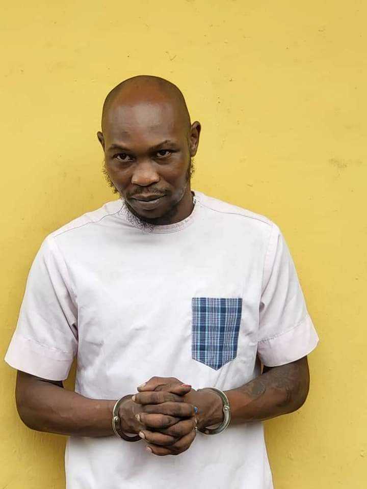 Seun Kuti Granted One Million Naira Bail, Despite Claims That Assaulted Policeman Is In Coma