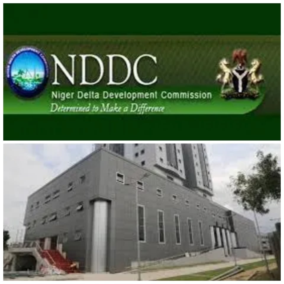 Petitions: Group Raise Alarm Over NDDC MD/Board Members Flouting President Tinubu Order On Dissolution Of Parastatals, Govt Agencies